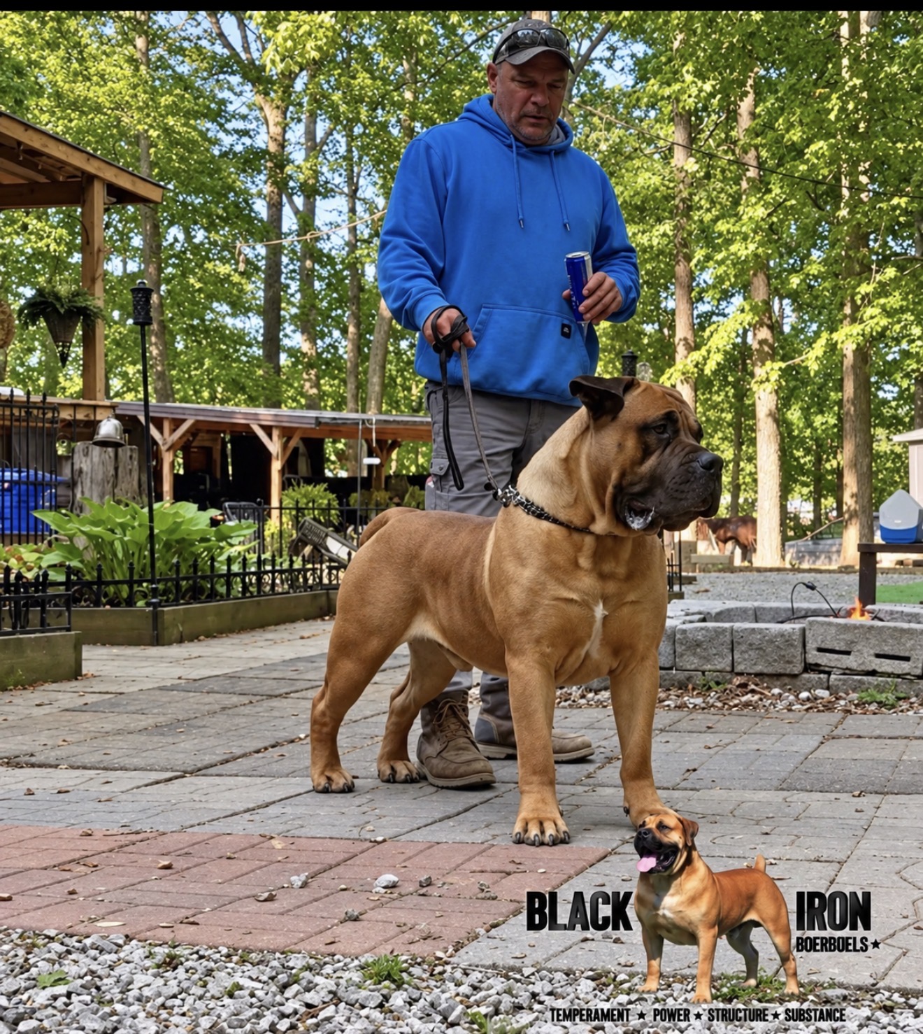 Black Iron Riff