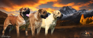 Home Page Banner