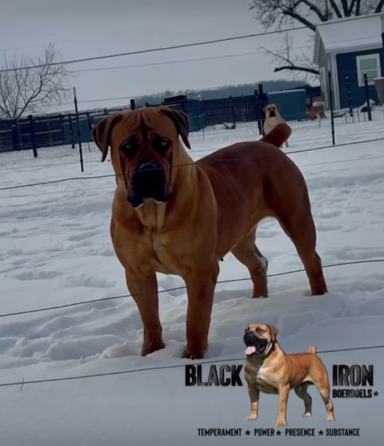 Black Iron River – RETIRED